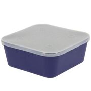 NGT MEDIUM  MAGGOT BOX - CUTIE PENTRU MOMEALA  VIE 1.5 L