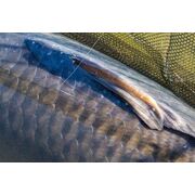 PB GHOST DARAGONFLY 100% FLUOROCARBON  400M