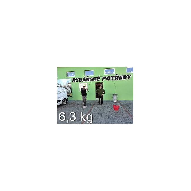 LANSETA  MIVARDI G50 CARP 3.90m / 3.75Lbs