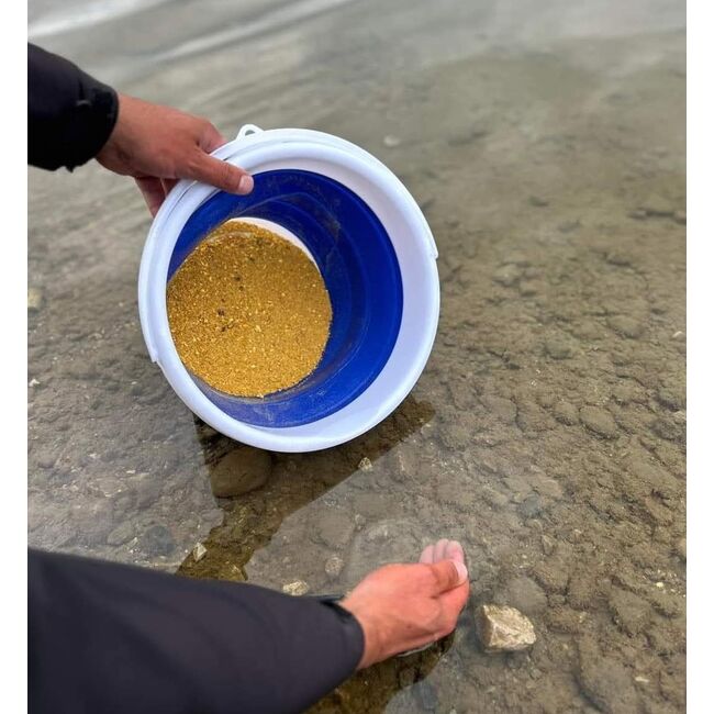 GALEATA PLIABILA FILEX COLLAPSIBLE BUCKET 10 L