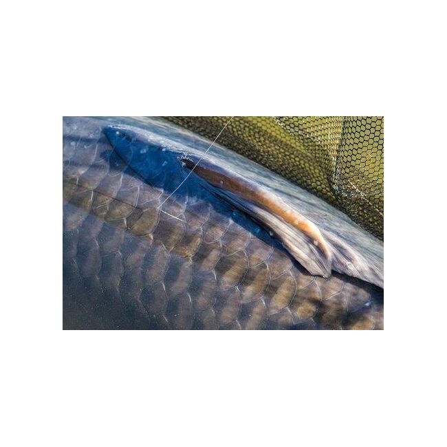 PB GHOST DARAGONFLY 100% FLUOROCARBON  400M