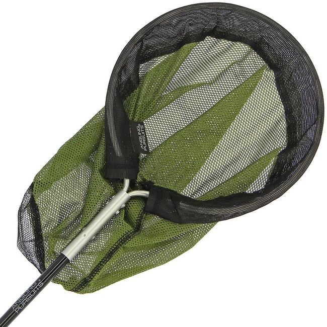 SET MINCIOG SI GALEATA PLIABILA ANGLING PURSUITS ROCKPOOL COMBO